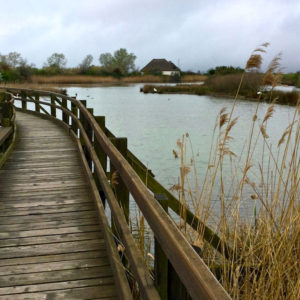 Фриули Венеция Джулия,Friuli Venezia Giulia, Италия